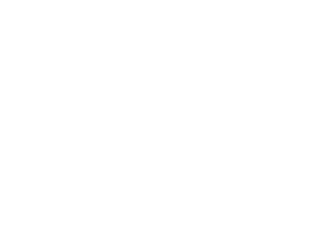 Festival de la Solidaridad 2026